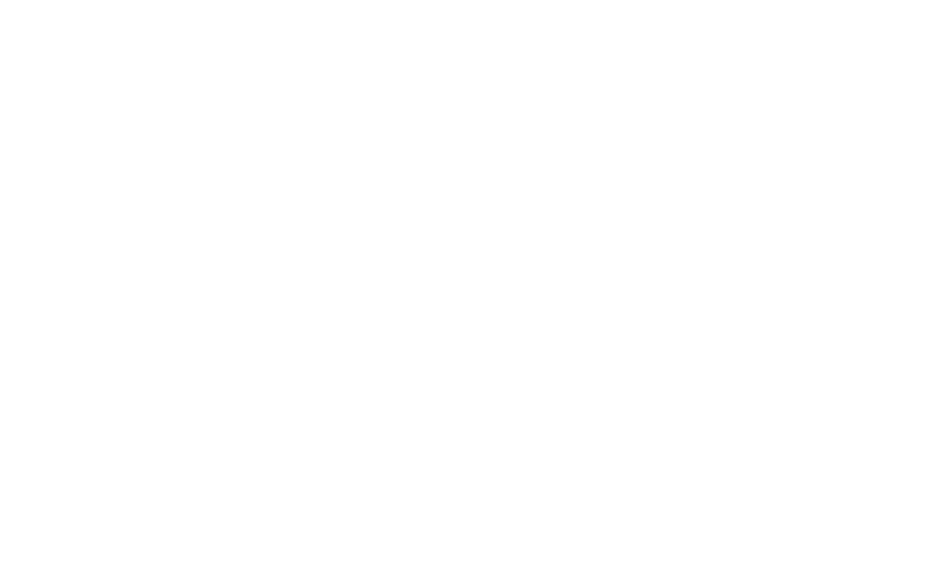 payizi Logo